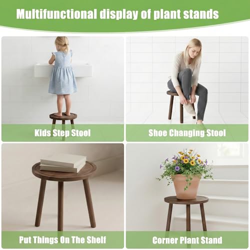 Wood Plant Stands Indoor (Dark Brown)