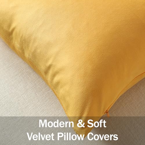 Euro Sham Covers 26x26 Gold Yellow (Saffron / 26" x 26" (Pack of 2))