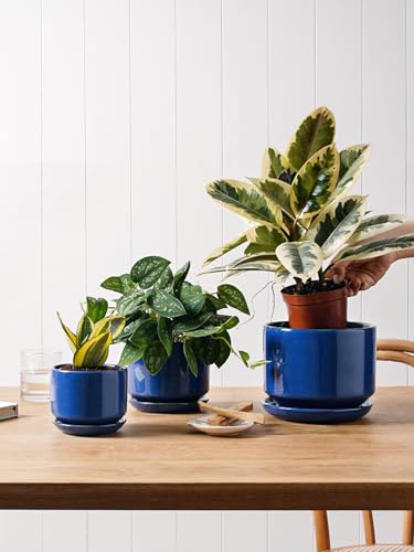 Ceramic Pots for Plants (Sapphire Blue / 4.3"+5.3"+6.8")