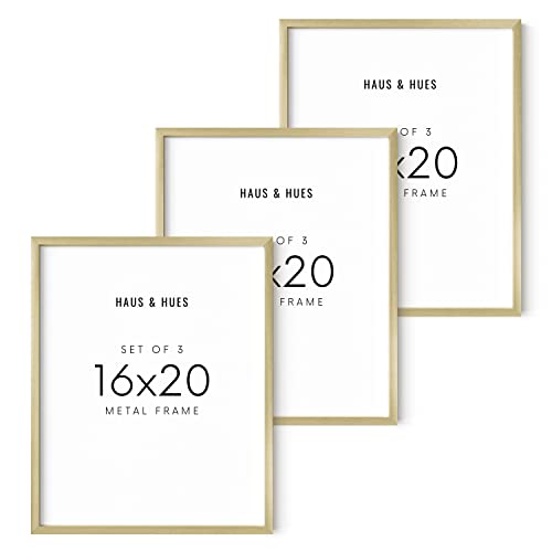 16x20 Gold Picture Frames (Set of 03 / Gold Metal / 16x20 in)
