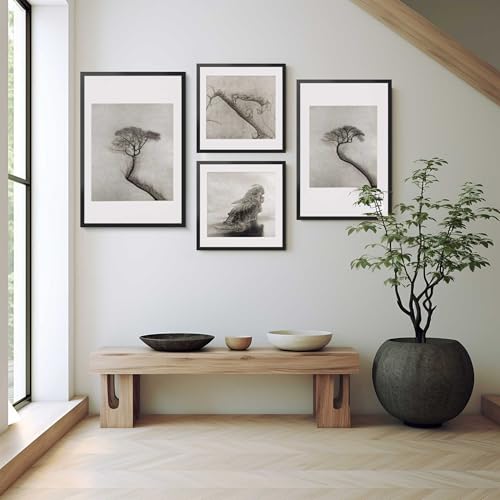 22x22 Picture Frame for Wall Display (Black / 22x22)