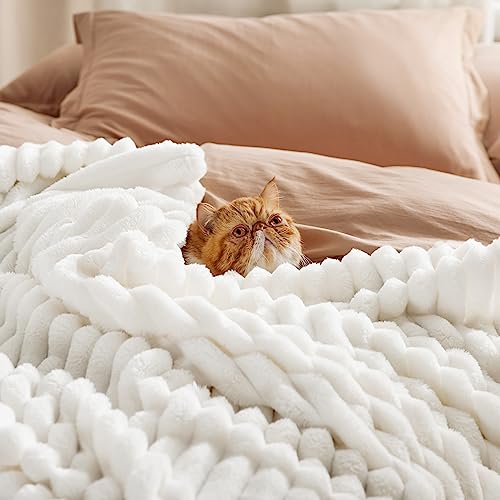 Soft Cozy King Size Fleece Blankets for Bed Off White 108"x90" (Off White / King)
