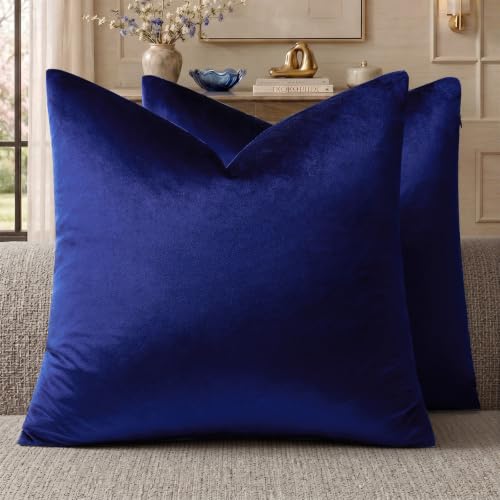 Royal Blue Velvet Throw Pillow Covers 20x20 Pack of 2 (Royal Blue / 20" x 20" (Pack of 2))