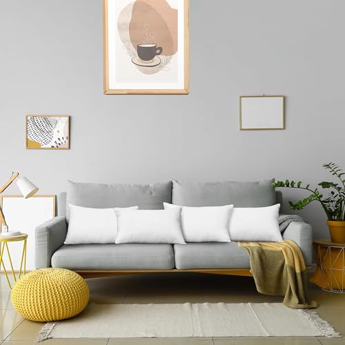 Throw Pillows (14x20 Inch)