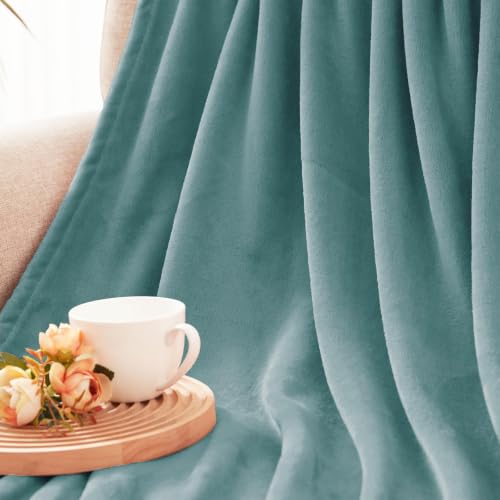 Soft Fleece Blanket Queen Size for Bed (Celadon / Queen (90" x 90"))