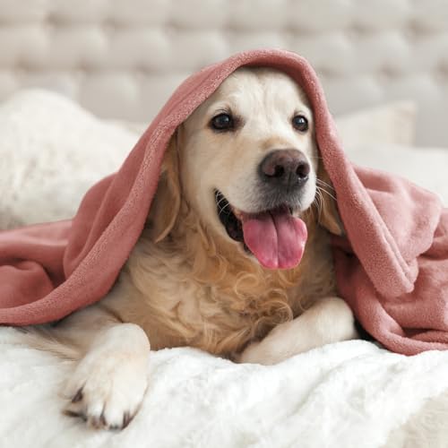 Fleece Blanket Soft Plush Throw for Couch Dusty Pink 50"x60" (Dusty Pink / Throw(50"x60"))
