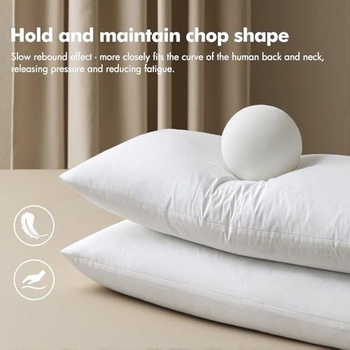14x36 Pillow Insert (14x36 Inch)