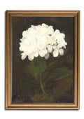 White Hydrangea Vintage Gold Framed Wall Art 12x16 inch (28-White hydrangea / 12x16)