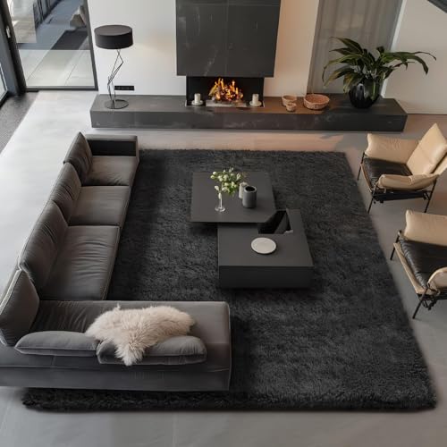 Area Rugs 9x12 Living Room (3- Black / 9' x 12' (Rectangular))