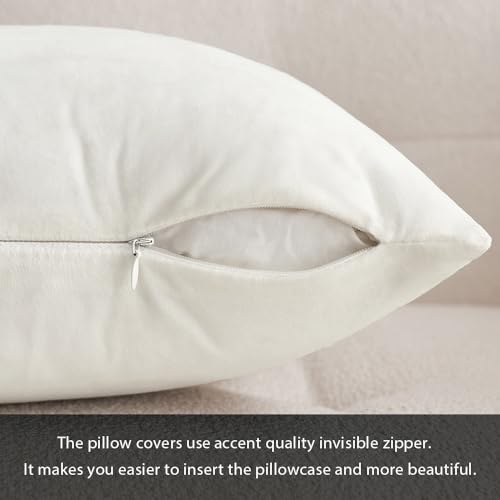 12x20 Inch Lumbar Velvet Throw Pillow Covers Pure White (20" x 12" (Pack of 2) / Pure White)