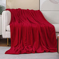 Red Fleece Plush Throw Blanket 50"x60"for Couch Sofa Fuzzy Cozy Flannel (Red / Throw(50"×60"))