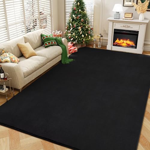 Modern Area Rugs for Bedroom Living Room (4' x 6' (Rectangular) / Black)