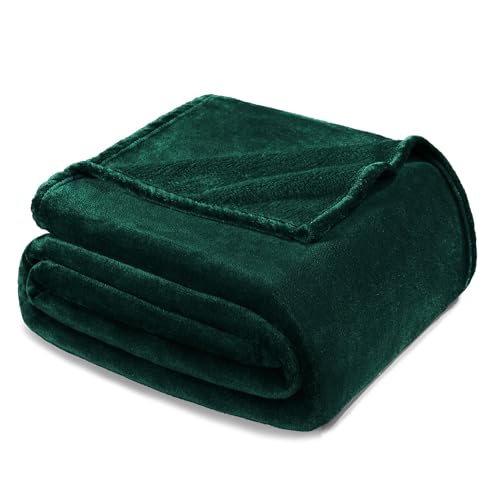 Soft Fleece Blanket Twin Size for Bed (Forest Green / Twin (60" x 80"))
