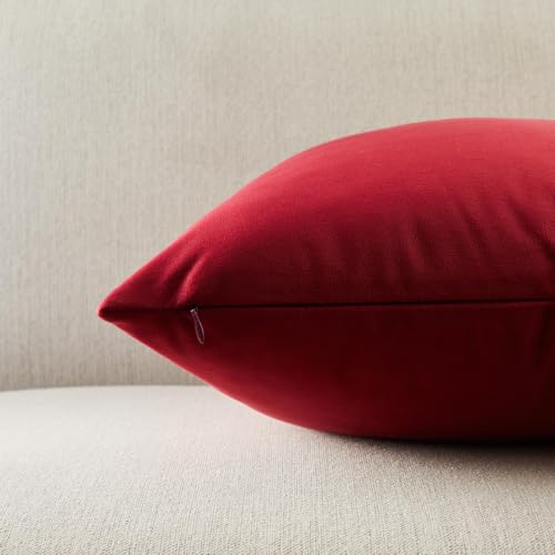 22x22 Decorative Velvet Throw Pillow Covers Set of 2 (Burgundy / 22" x 22" (Pack of 2))