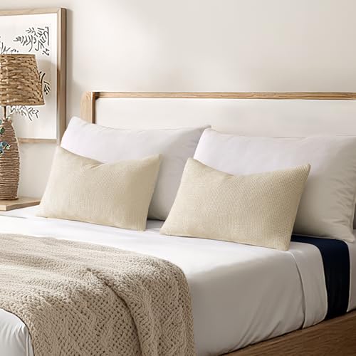 Decorative Lumbar Throw Pillow Covers 12x20 in Neutral Cream 2 Pack (20" x 12" (Pack of 2) / Cream)
