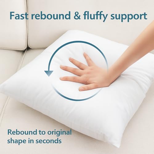 24x24 Throw Pillow Inserts Set of 2 (24x24 / 01: White)