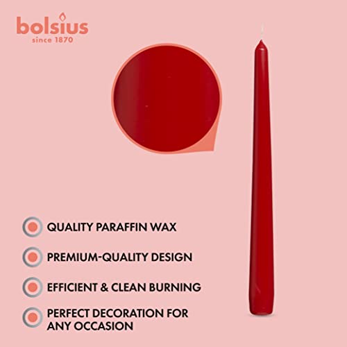 10 Count Unscented 10 Inch Red Household Taper Candles (Red / 10 Count)