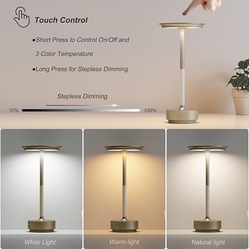 1 Pack Rechargeable Table Lamps Cordless (Champagne Gold-1)