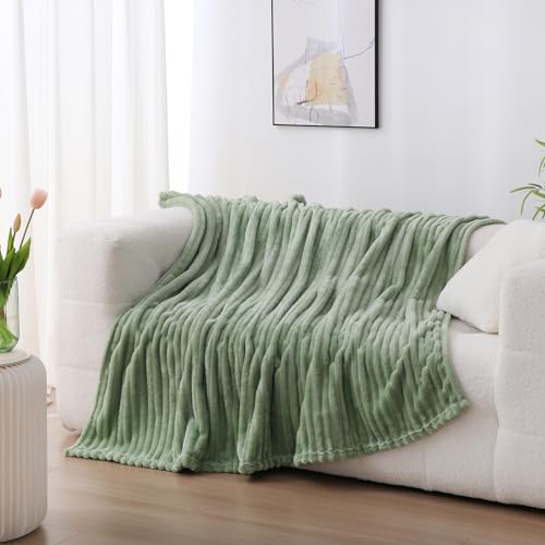 Sage Green Fleece Throw Blanket 50”×60” for Couch Sofa Livingroom (Sage Green / 50×60inch)