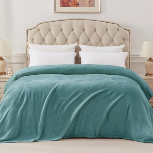 Soft Fleece Blanket Queen Size for Bed (Celadon / Queen (90" x 90"))