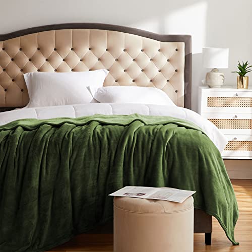 Super Soft Throw Blanket Premium Silky Flannel Fleece Twin Size Green Microfiber Lightweight Blanket All Season Use (Green / Twin(60"x80"))