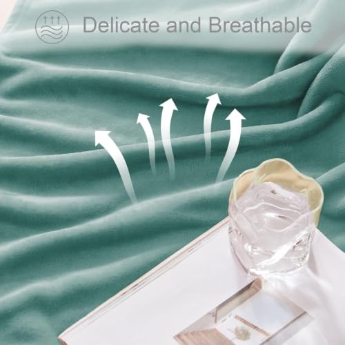 Soft Fleece Blanket Queen Size for Bed (Celadon / Queen (90" x 90"))