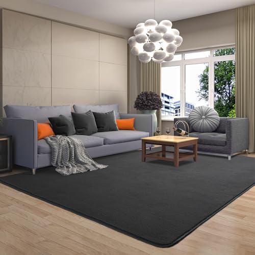 6x9 Area Rugs for Living Room Non Slip Dorm Bedroom Rug (6' x 9' (Rectangular) / Dark Grey)