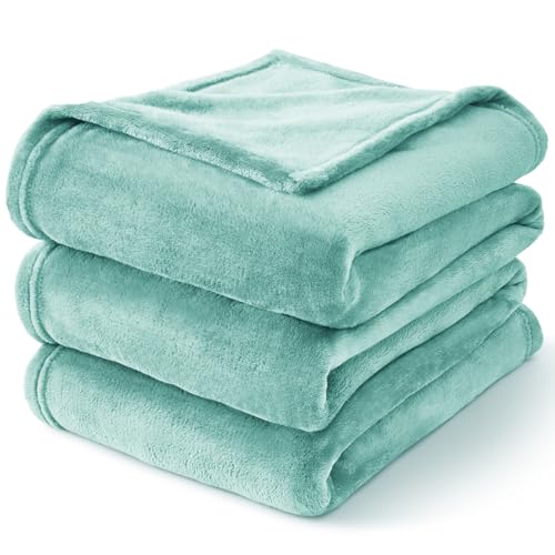 Fleece Blanket Soft Plush Twin Size Blanket Haze Blue 60"x80" (Haze Blue / Twin(60"x80"))