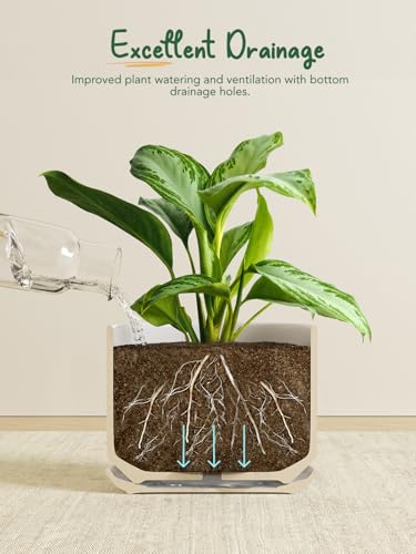 10 + 12 Inch Ceramic Plant Pots (White / 10"+12")