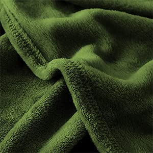 Super Soft Throw Blanket Premium Silky Flannel Fleece Twin Size Green Microfiber Lightweight Blanket All Season Use (Green / Twin(60"x80"))