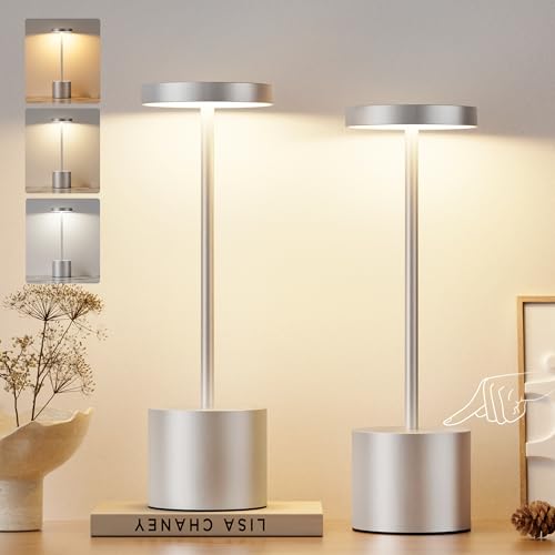 Silver Gray Cordless Lamp Set (Silver Gray / 2 Pack)
