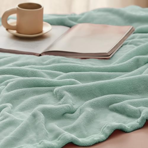 GentleSoft Fleece Bed Blankets Full Size Sage Green (05 - Sage Green / Full (84" x 90"))
