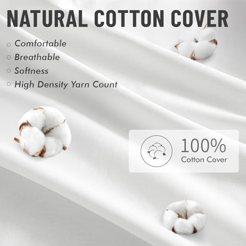 12x12 Inch Pillow Inserts Pack of 4 (12x12 Inch)