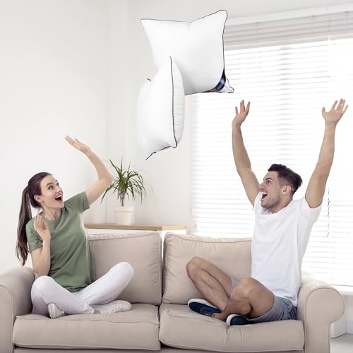 18x18 Throw Pillow Inserts (18x18 Inch)