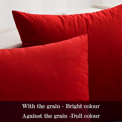 Velvet Christmas Throw Pillow Covers 16x16 Inch Pack of 2 Bright Red (16" x 16" (Pack of 2) / Bright Red)