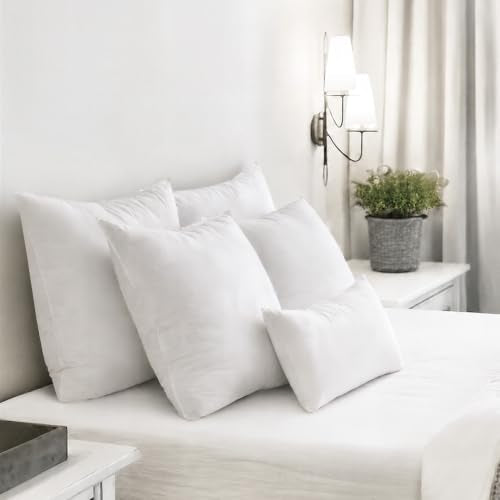 12x20 Pillow Insert (12x20 Inch)