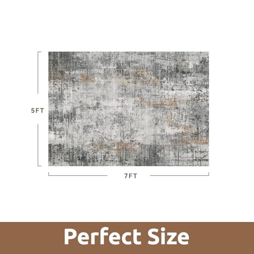 5 x 7 Area Rugs for Living Room (Grey / 5' x 7')