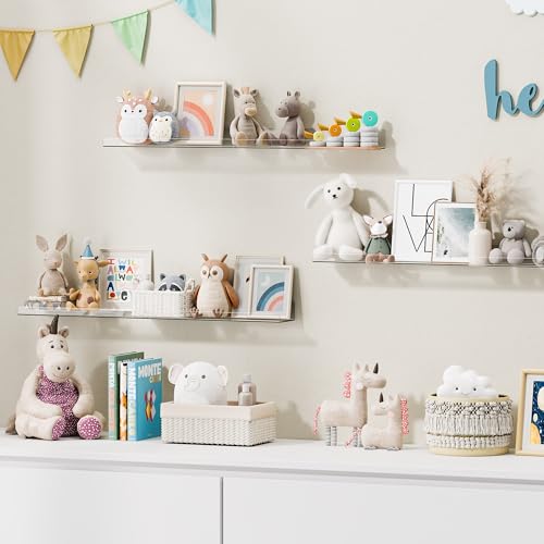 15" x 4" Acrylic Shelves for Wall Storage and Organizer (15x4")
