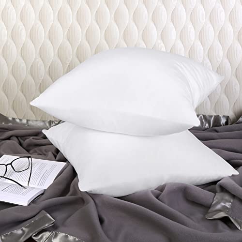 17x17 Pillow Inserts (White / 17x17 Inch)