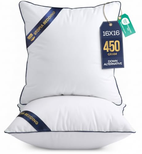16x16 Throw Pillow Inserts (16x16 Inch)