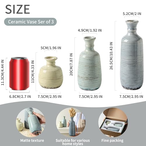 Ceramic Vase Set of 3 (011 - Multicolor)