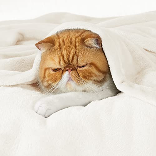 GentleSoft Fleece Blanket California King (01 - Cream / California King (102" X 96"))