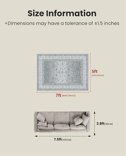 Amada 5x7 Washable Area Rug for Living Room (5' x 7' (Rectangular) / Silver/Gray)