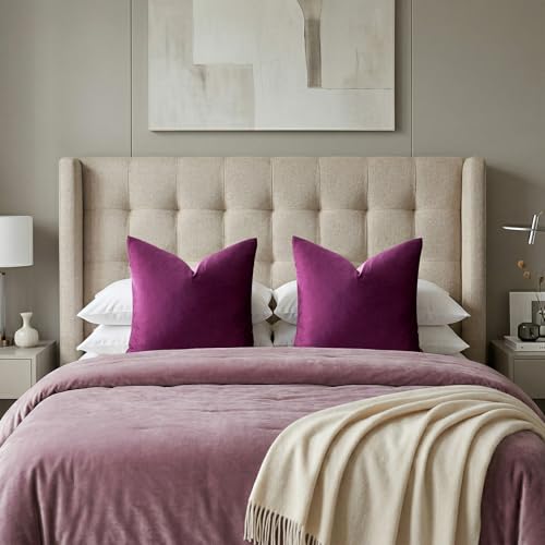 Velvet Pillow Covers 22x22 Decorative Pillows Pack of 2 Purple (Purple / 22" x 22" (Pack of 2))
