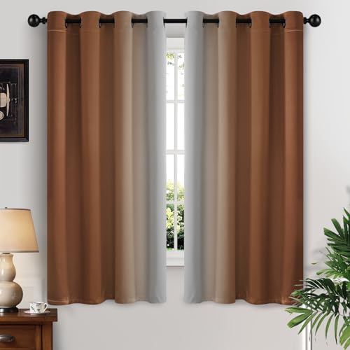 Greyish White and Burnt Orange Ombre Curtains (52"W x 63"L (Pack of 2) / Burnt Orange)