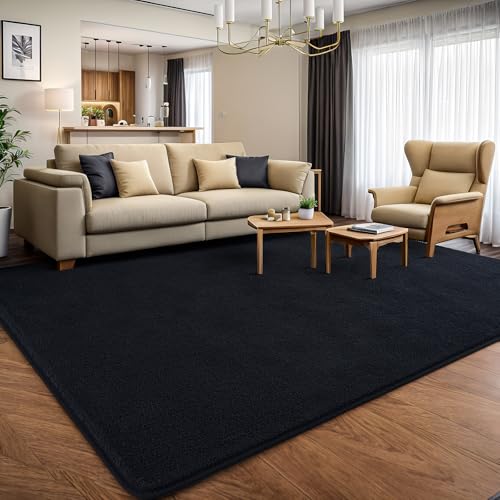 5x7 Area Rugs for Living Room Non Slip Dorm Bedroom Rug (5' x 7' (Rectangular) / Black)