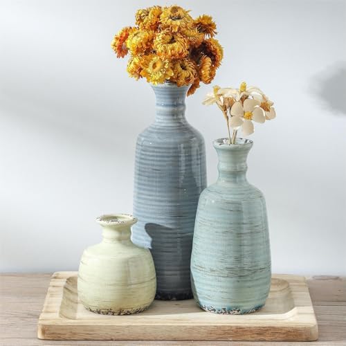 Ceramic Vase Set of 3 (011 - Multicolor)