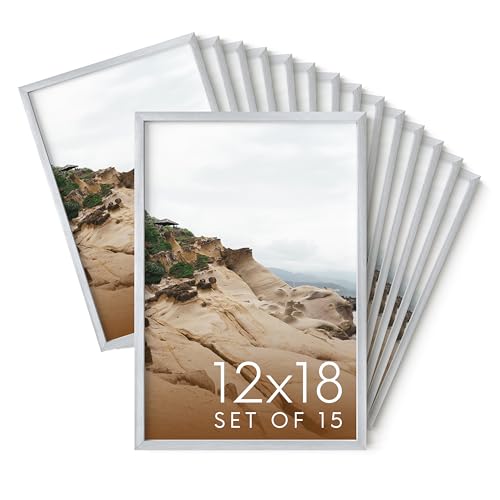 12x18 Silver Metal Picture Frames (Set of 15 / Silver Metal / 12x18 in)