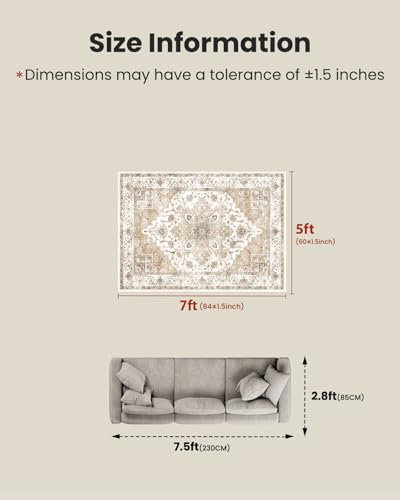 Amada 5x7 Washable Area Rug for Living Room (5' x 7' (Rectangular) / Beige)