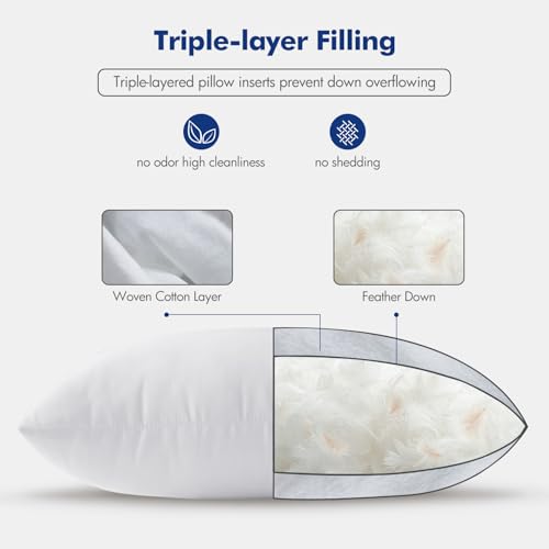 26x26 Euro Pillow Inserts (26x26 Inch)